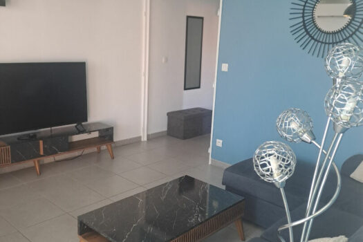 Appartement 2 pièce(s) meublé 49 m2 avec terrasse