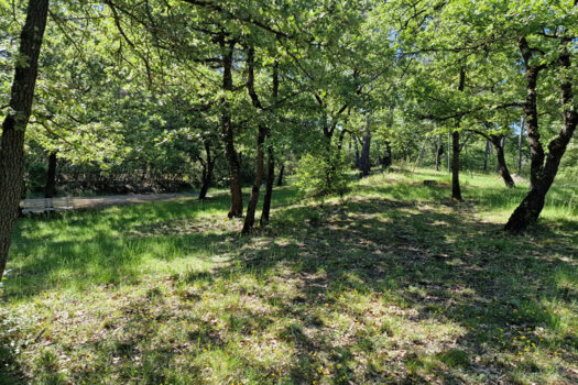 GREASQUE – Terrains à bâtir