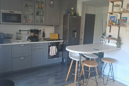 Appartement La Destrousse 3 pièce(s) 55 m2 MEUBLE