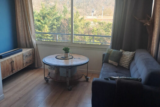 Appartement La Destrousse 3 pièce(s) 55 m2 MEUBLE