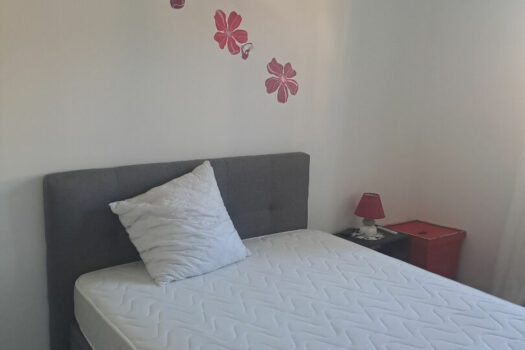 Appartement 2 pièce(s) meublé 49 m2 avec terrasse