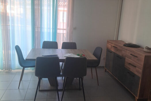 Appartement 2 pièce(s) meublé 49 m2 avec terrasse