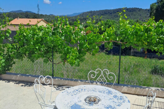 Petite maison MEUBLE de 40m2 avec terrasse