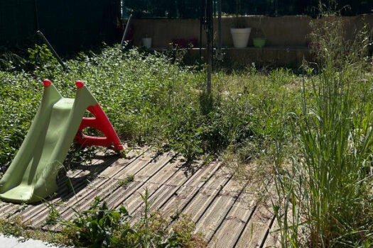 T3 REZ DE JARDIN 57M²