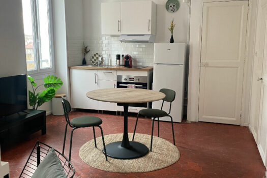 Appartement 1 pièce(s) 27 m2 meublé avec terrasse